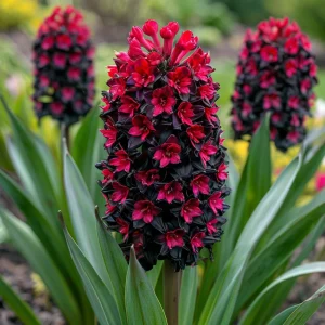 Гиацинт Джем Стоун купить по цене от 2099р. в интернет-магазине «Посадика» с доставкой почтой в в Кольчугиное и по всей России – [изображение №1].