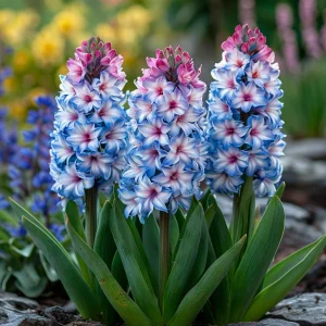 Гиацинт Пинк Мари купить по цене от 2099р. в интернет-магазине «Посадика» с доставкой почтой в в Кольчугиное и по всей России – [изображение №1].