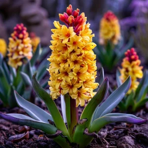 Гиацинт Миднайт Мистери купить по цене от 2099р. в интернет-магазине «Посадика» с доставкой почтой в в Кольчугиное и по всей России – [изображение №1].