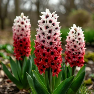 Гиацинт Скай Гарден купить по цене от 2099р. в интернет-магазине «Посадика» с доставкой почтой в в Кольчугиное и по всей России – [изображение №1].